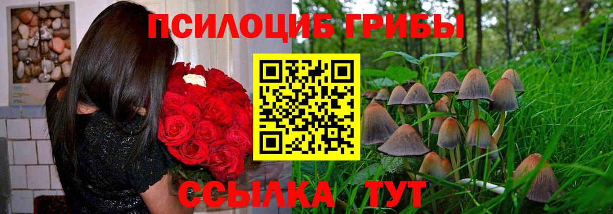 Псилоцибиновые грибы мухоморы  Вход с VPN  Симферополь 
