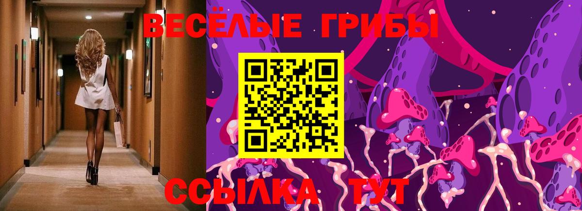 Псилоцибиновые грибы прущие грибы Симферополь